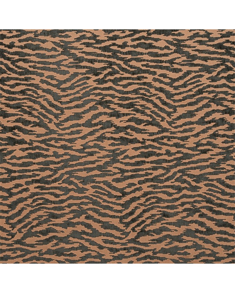 Tadoba Velvet Charcoal On Caramel AW24524