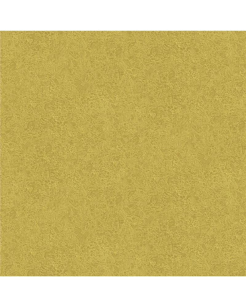 Ramon Olive HAV1003 Ramon Olive HAV1003