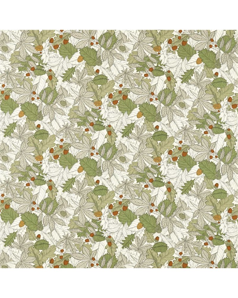 Mercia Apple Spice F1701-01