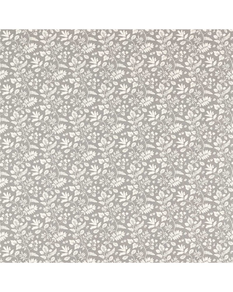 Bellever Graphite F1699-03 Bellever Graphite F1699-03