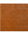 Cosima Coral F4625-26