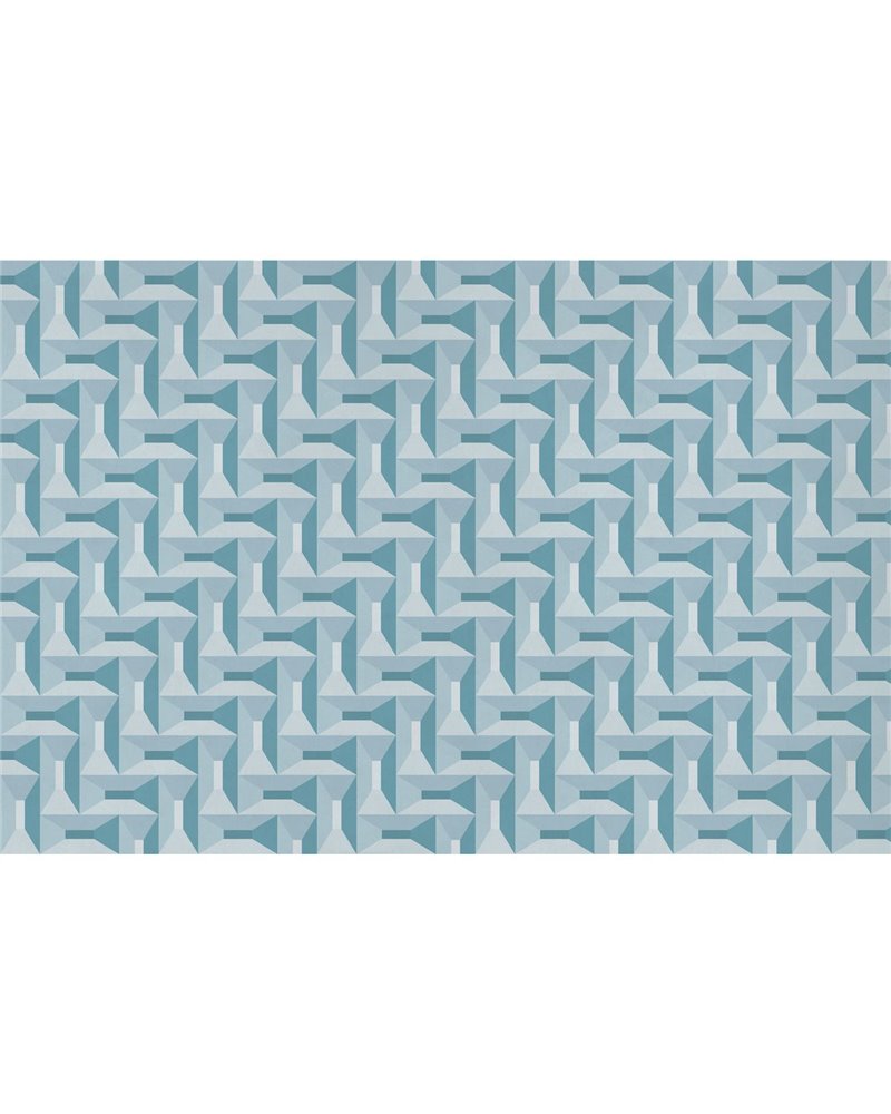 CORAL-VE035-2 CORAL-VE035-2