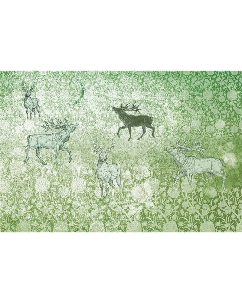 FORESTA-AF006-1 FORESTA-AF006-1