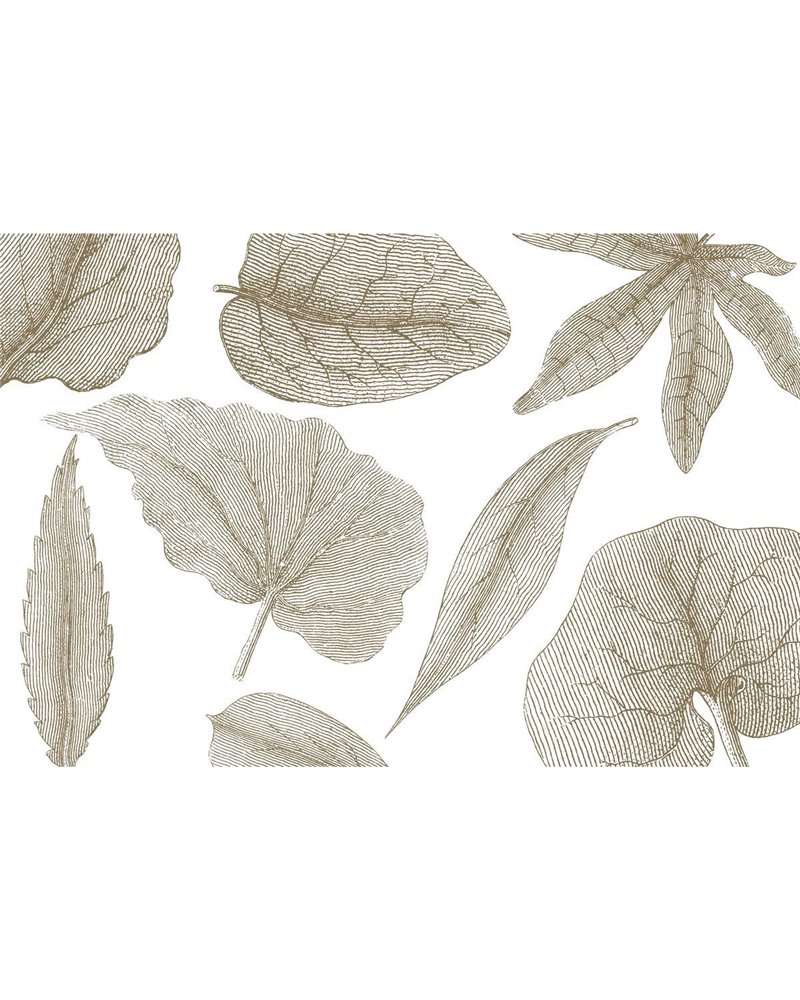 GIANT-LEAVES-VE062-2 GIANT-LEAVES-VE062-2
