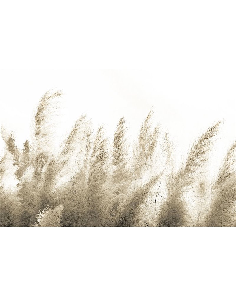 PAMPAS-VE064-3 PAMPAS-VE064-3