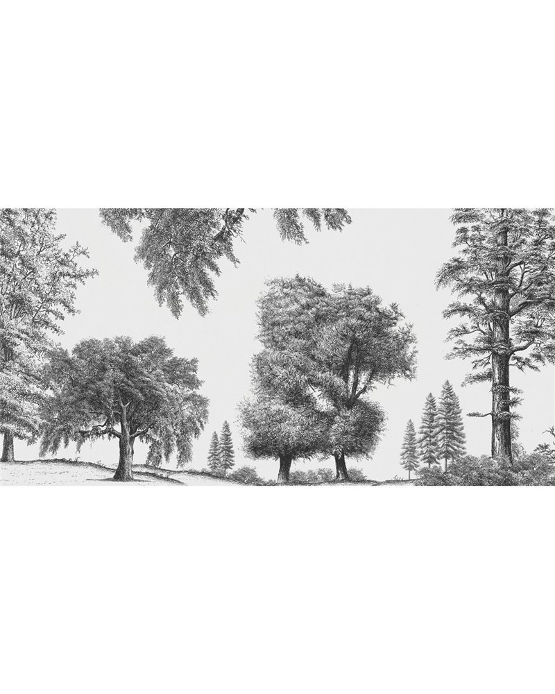 ARBORIBUS-VE080-1 ARBORIBUS-VE080-1