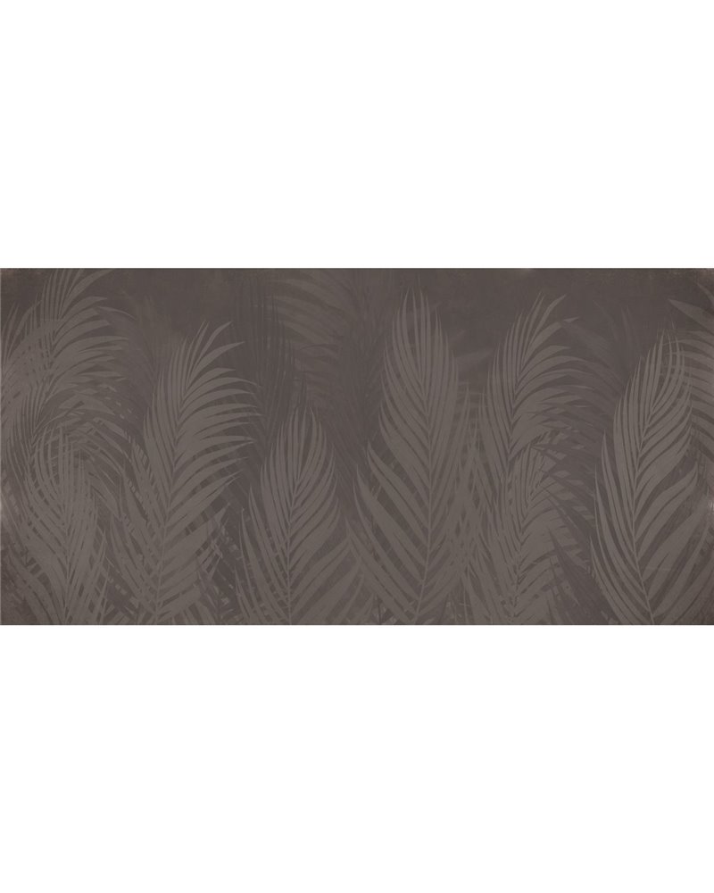 ARECA-VE127-5 ARECA-VE127-5
