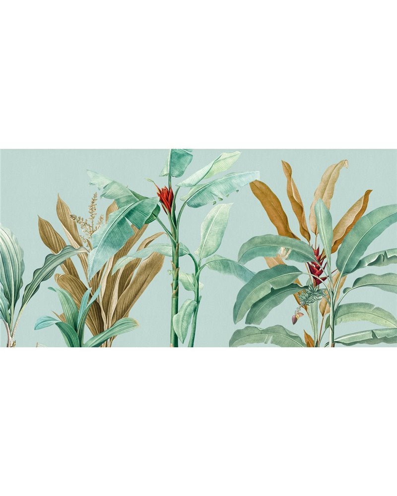 TROPICAL-VE104-2 TROPICAL-VE104-2