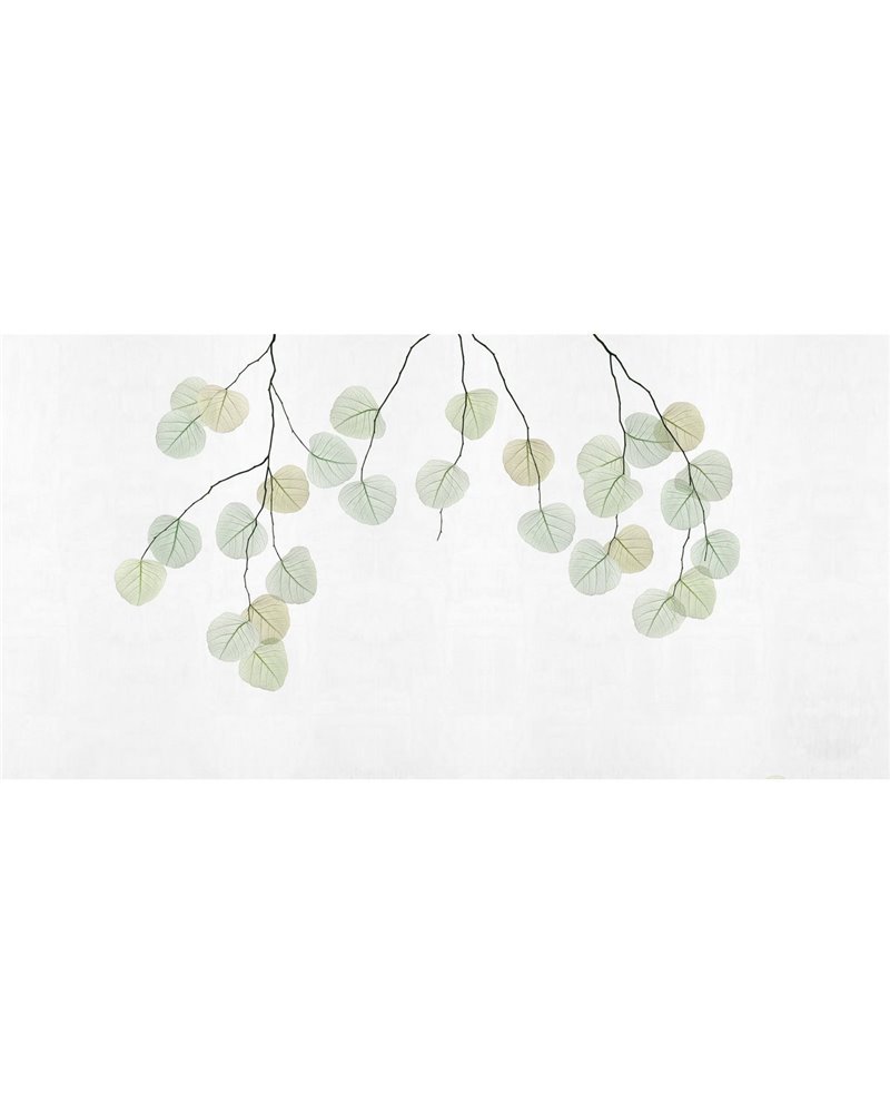 SKELETON-LEAF-VE161-1 SKELETON-LEAF-VE161-1