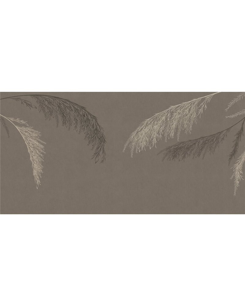 WILLOW-VP001-2 WILLOW-VP001-2