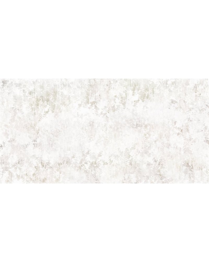 ALMOND-VP025-1 ALMOND-VP025-1