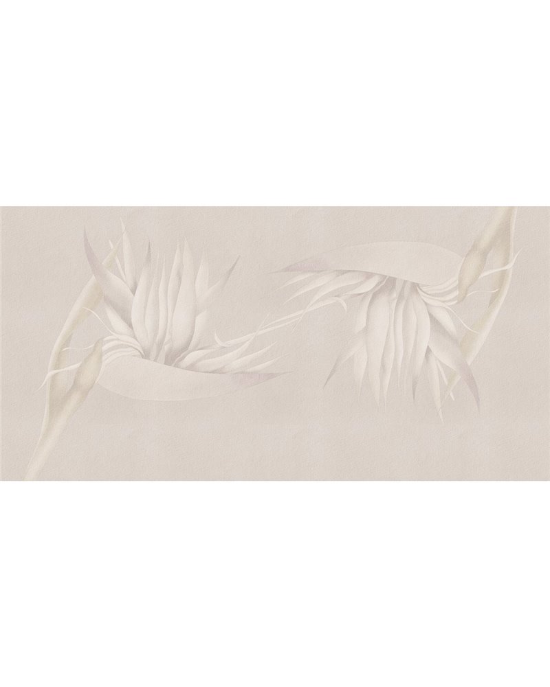 CREAZIONE-AP025-3 CREAZIONE-AP025-3