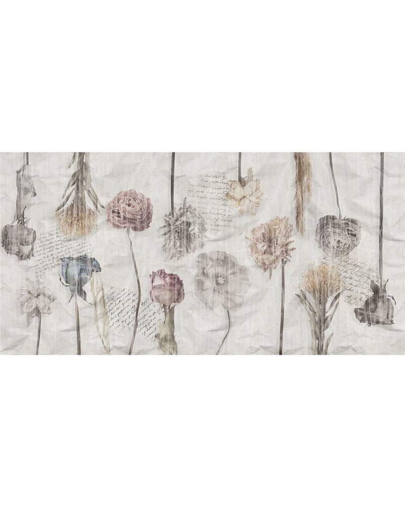 ROMANCE-VP013-1 ROMANCE-VP013-1