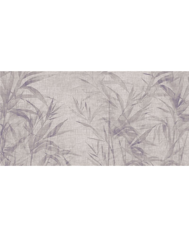 GINSENG-AP080-3