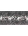 REVELATION-VE176-2