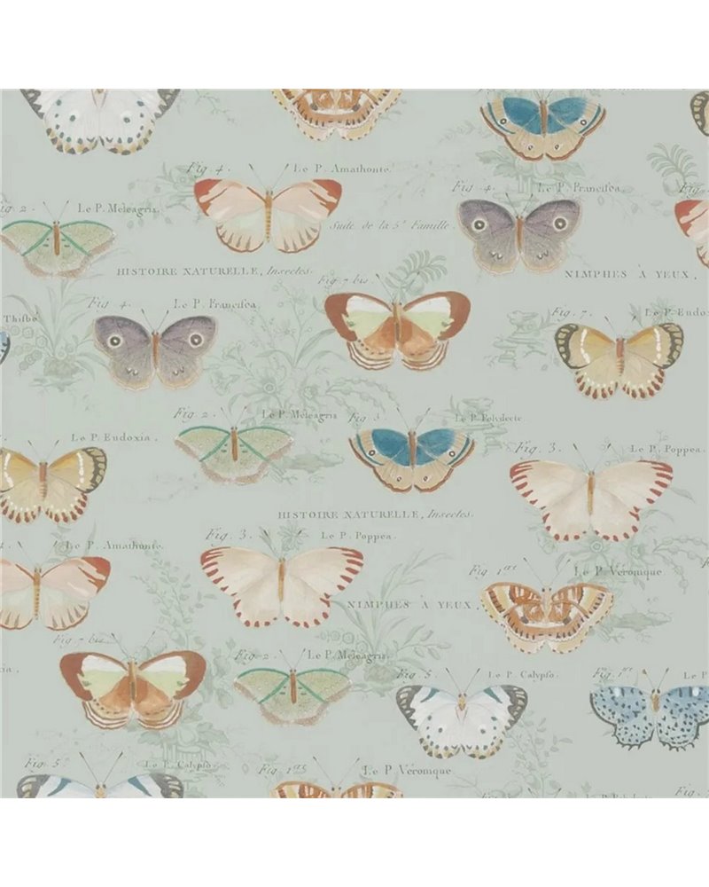 Butterfly Studies Eau de Nil PJD6017-03 Butterfly Studies Eau de Nil PJD6017-03