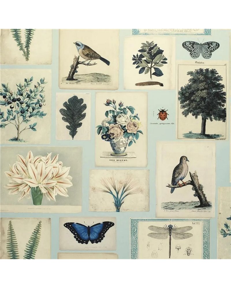 Flora and Fauna Cloud Blue PJD6001-02 Flora and Fauna Cloud Blue PJD6001-02