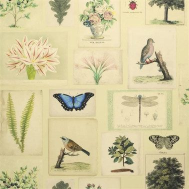 Flora and Fauna Parchment PJD6001-01