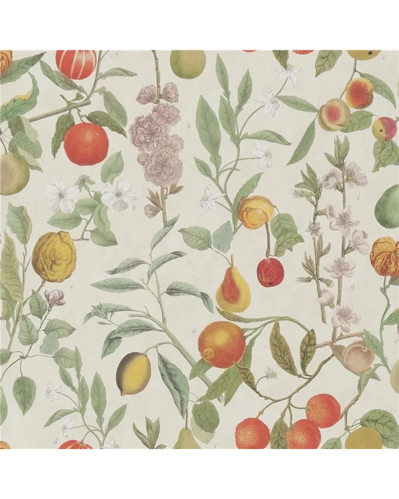 Orchard Fruits Parchment PJD6018-01 Orchard Fruits Parchment PJD6018-01