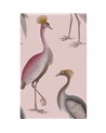 Garzas Rosa GDW-5773-006