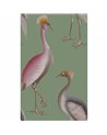 Garzas Verde Agua GDW-5773-003