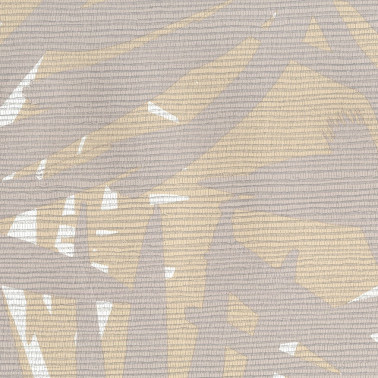 Pandanus 6240