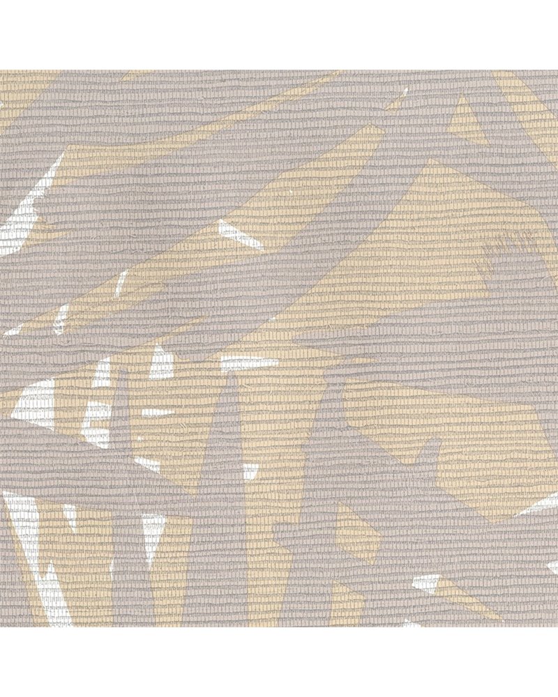 Pandanus 6240 Pandanus 6240