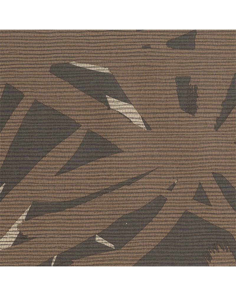 Pandanus 6241 Pandanus 6241