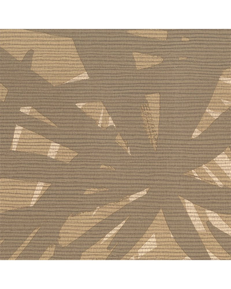 Pandanus 6242 Pandanus 6242