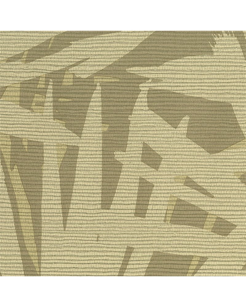 Pandanus 6248 Pandanus 6248
