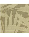 Pandanus 6248