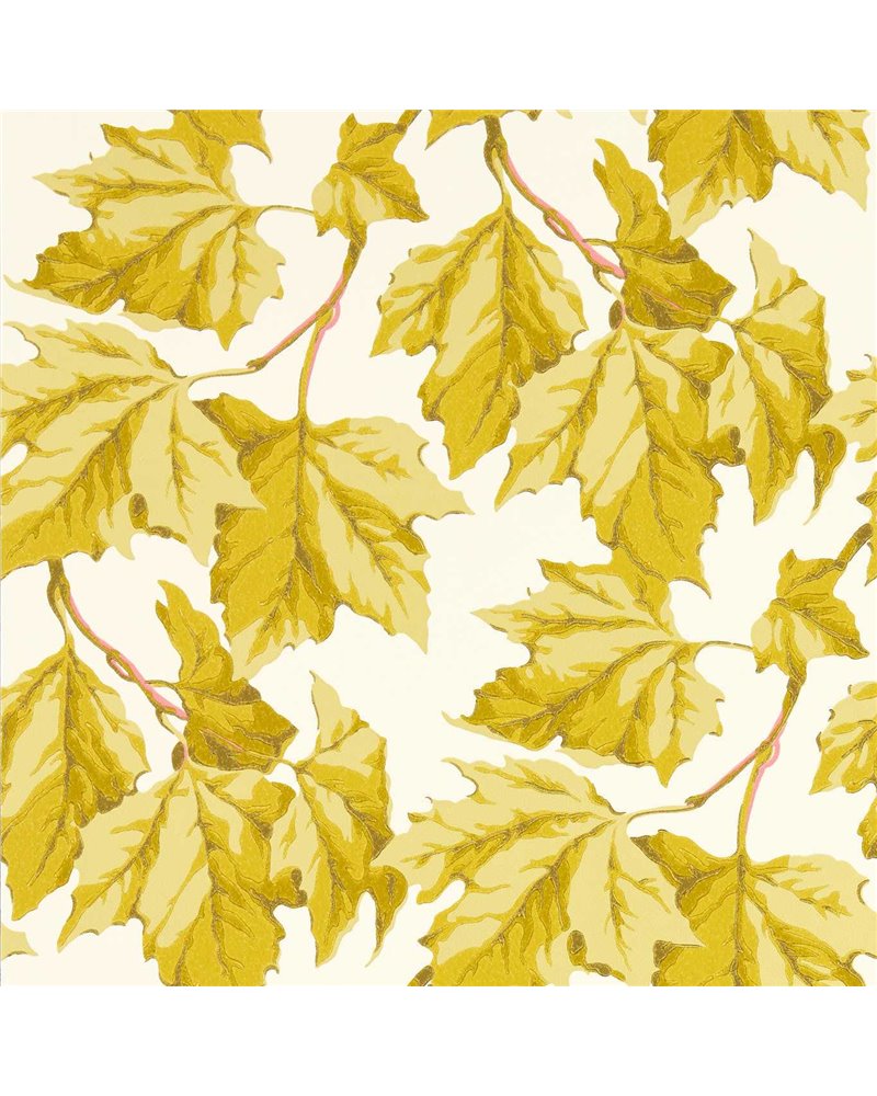 Dappled Leaf Citrine HSRW113046 Dappled Leaf Citrine HSRW113046