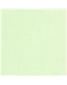 Uni Mat Vert Jade 105247499