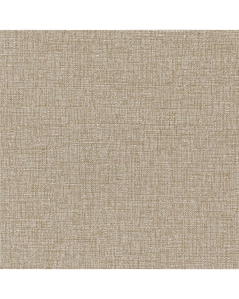 ORLEANS DAMASK R921-21.jpg
