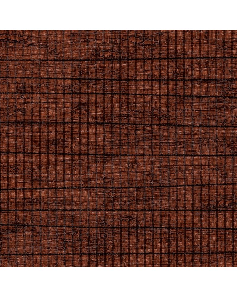 RAKE-KAMI CL01-12.jpg