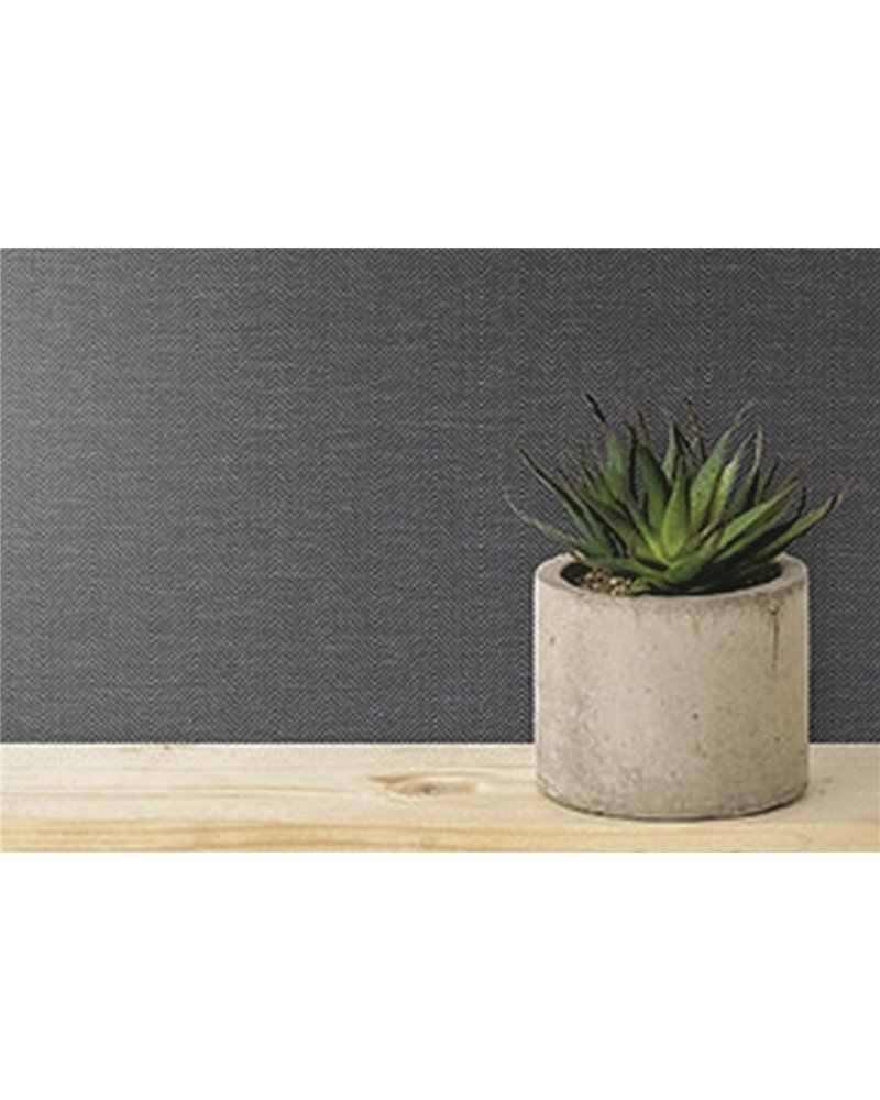 CROSS THE LINE-STABILITY-C822-25