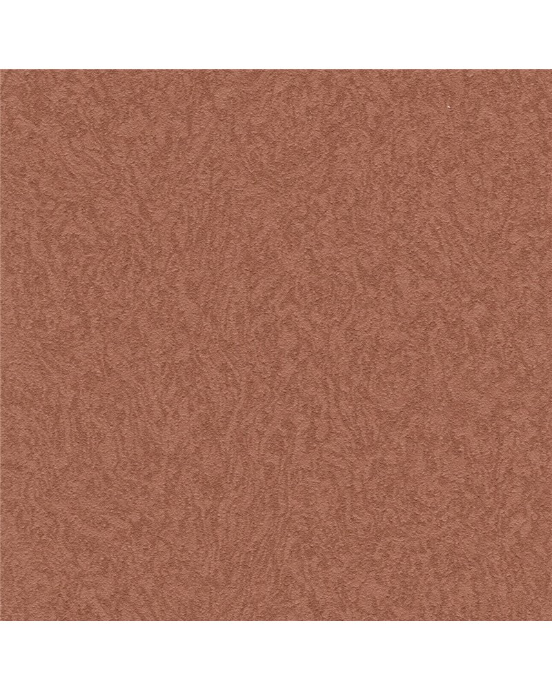 AMBROSIA G321-55 AMBROSIA G321-55