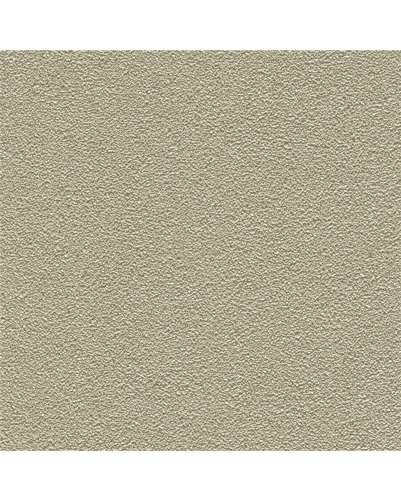 DESERT SAND 5821-31 DESERT SAND 5821-31
