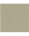 DESERT SAND 5821-31