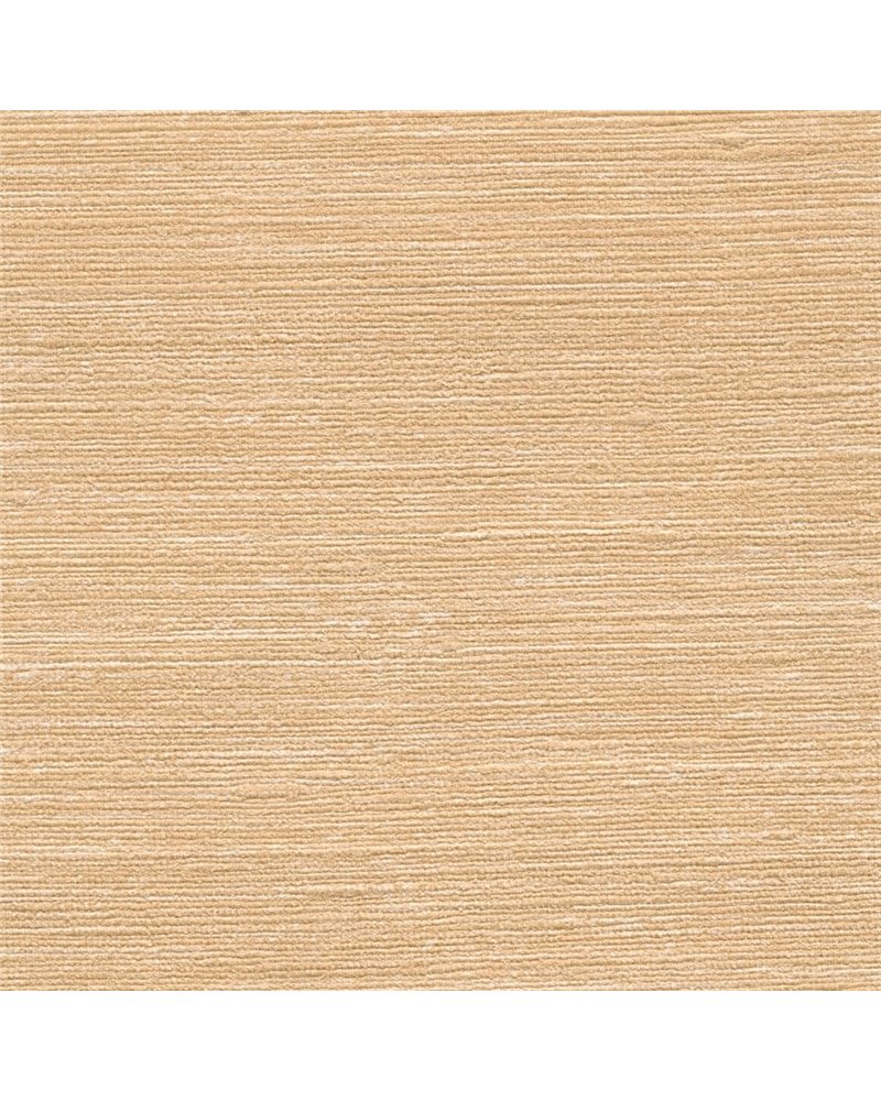 KASHI 7621-37 KASHI 7621-37