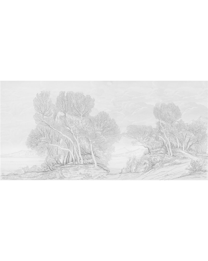 Marese Graphite Marese Graphite