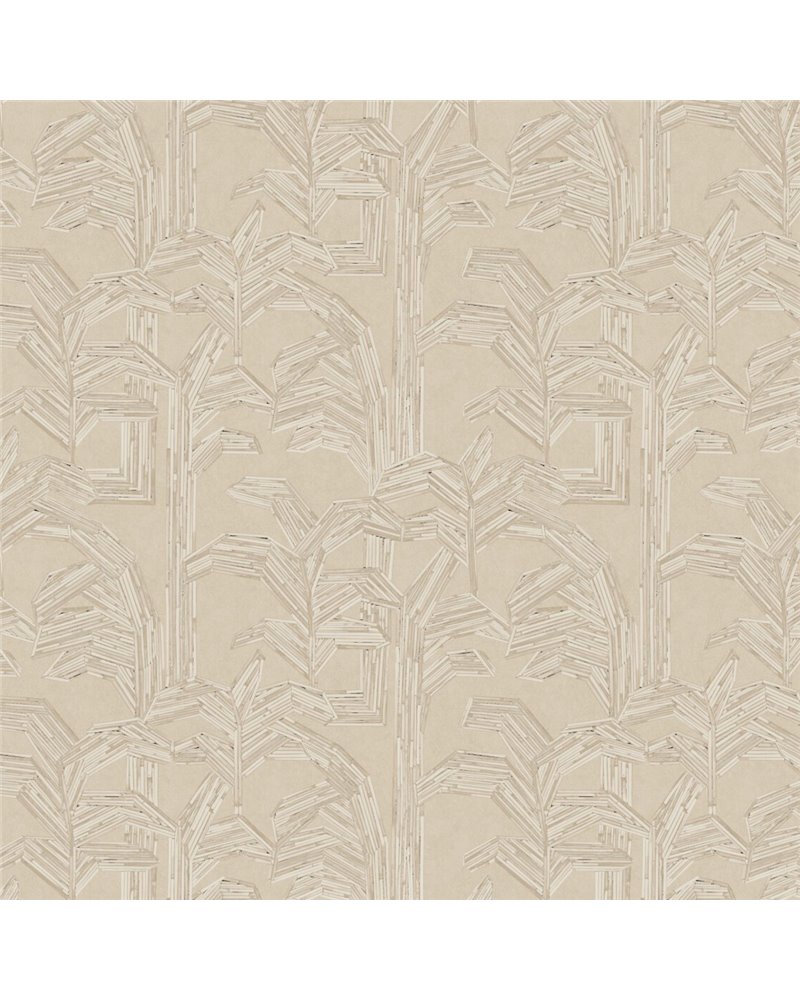 Kailua Cashew 81501 Kailua Cashew 81501