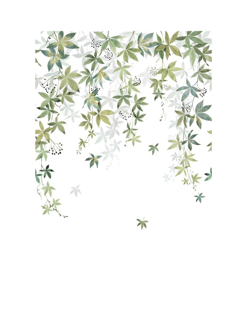 Vigne En Fleur Vert Olive M 200067203