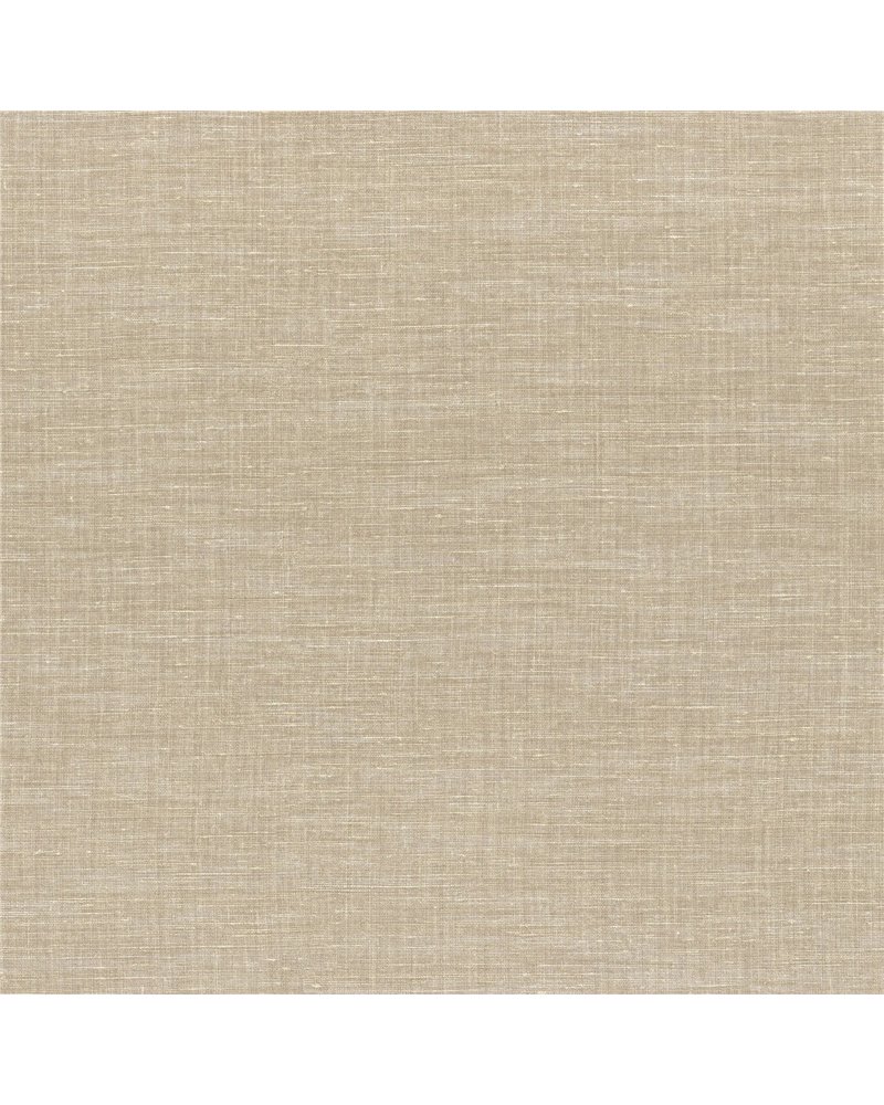 Shinok Champagne 73810314 Shinok Champagne 73810314