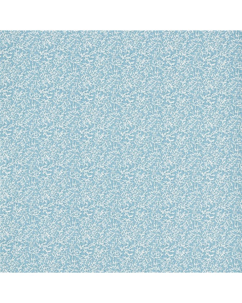 Seabed Cloud F1729-01 Seabed Cloud F1729-01