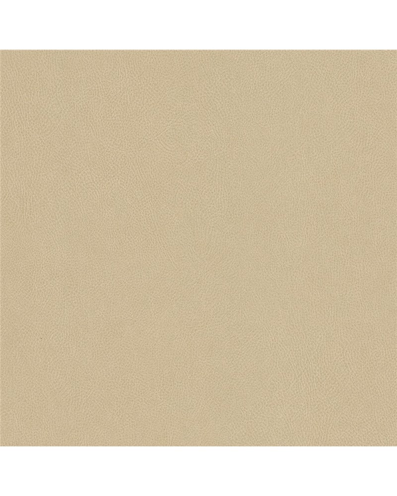 NE42 Cashmere