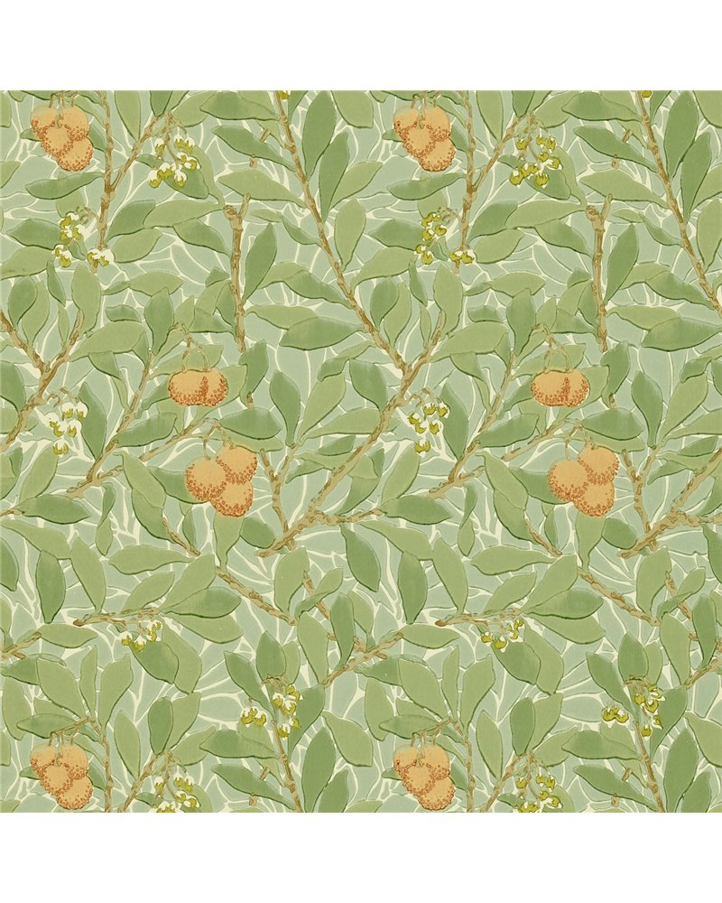 Arbutus Green Terracotta DJA1A7103