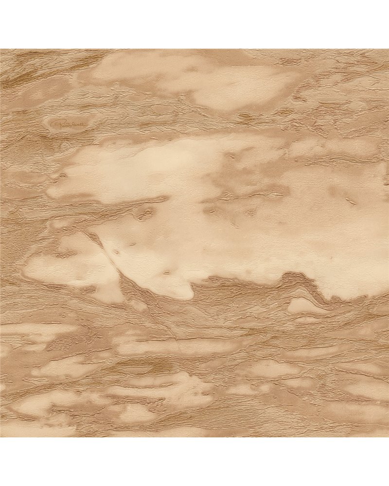 RC21029 RC21029