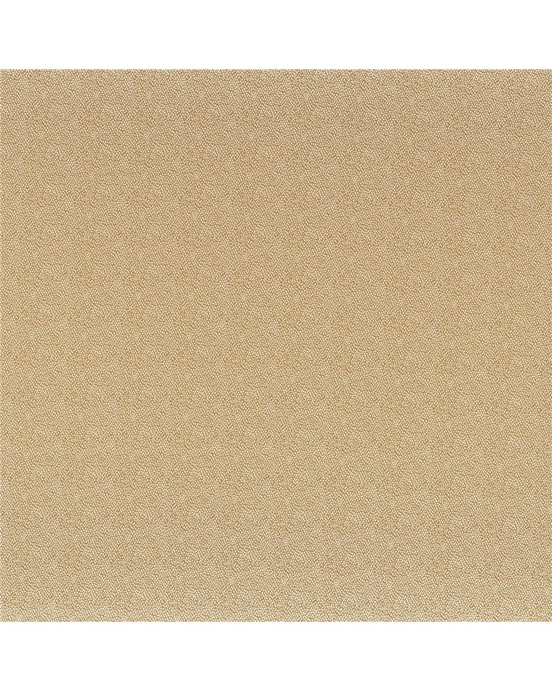 Tarana Safran 40600750