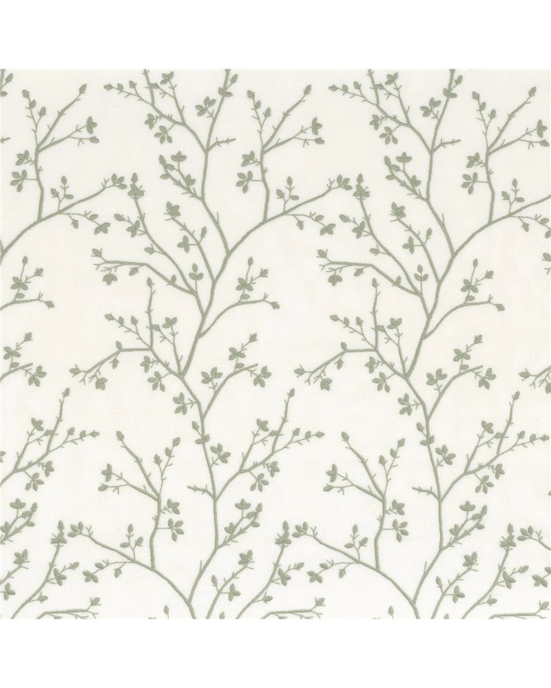 Mathurin Celadon 49270360 Mathurin Celadon 49270360